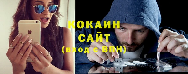 гидра Каменногорск