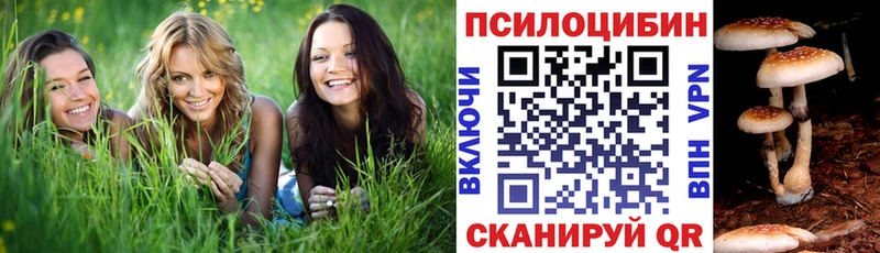 наркошоп  Бологое  Псилоцибиновые грибы прущие грибы 